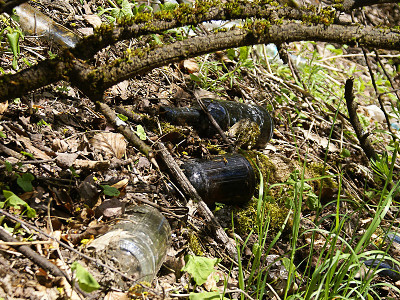 2023 - Aufräumungsarbeiten an der Ottilienkapelle, dem Ottilienstein
              und der Zustiegswege